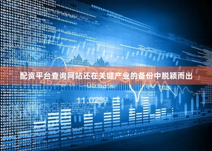 配资平台查询网站还在关键产业的备份中脱颖而出