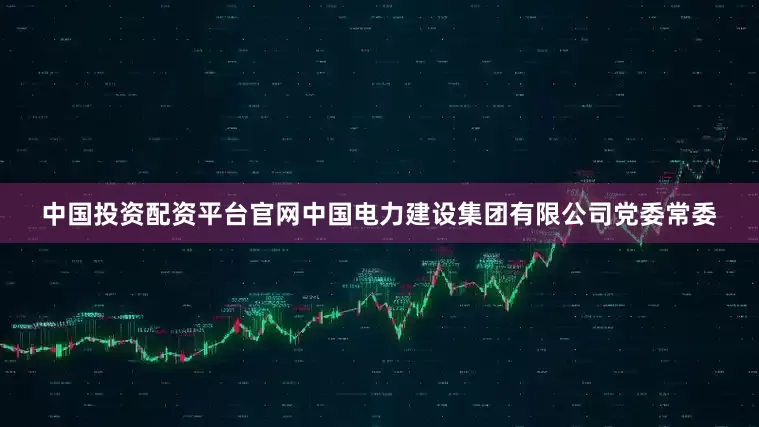中国投资配资平台官网中国电力建设集团有限公司党委常委