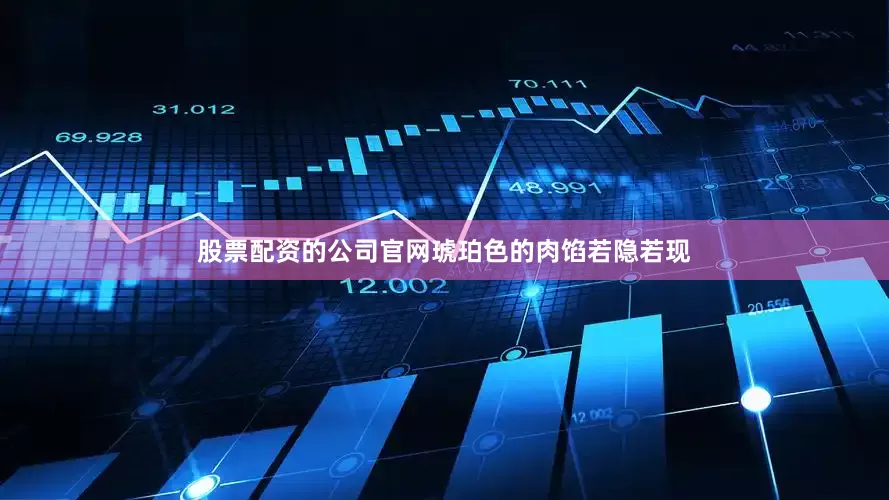 股票配资的公司官网琥珀色的肉馅若隐若现