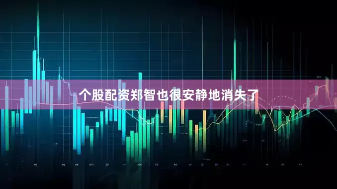 个股配资郑智也很安静地消失了