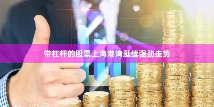 带杠杆的股票上海港湾延续强劲走势